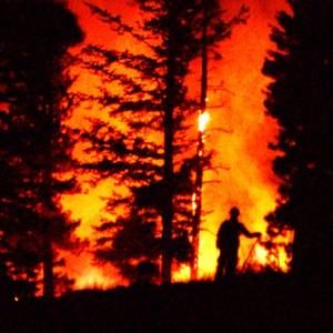 Meet your Posher, Chad